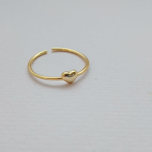 PARIS Ring (Ref. 1208)